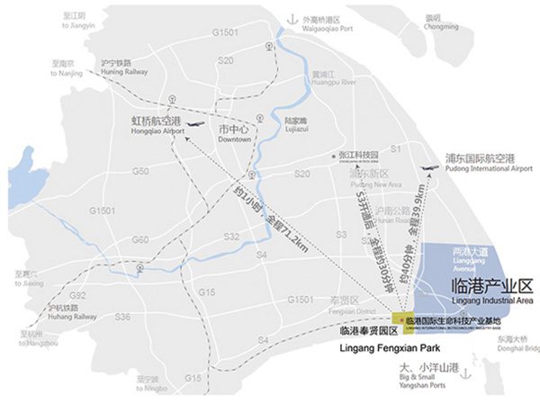 临港奉贤园区注册公司的优势