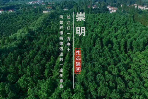 崇明注册公司需要哪些条件?