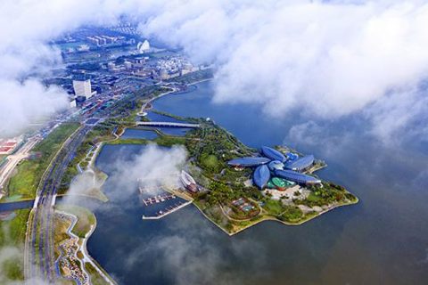 上海浦东自贸区注册公司优惠政策有哪些？