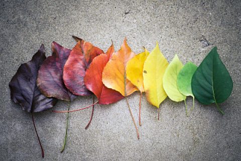 哪些情况会导致上海注册公司变更不了？