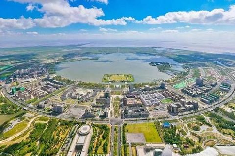上海临港自贸区注册公司有哪些亮点?