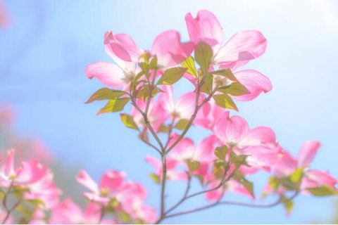 2023年注册上海公司需要哪些条件?